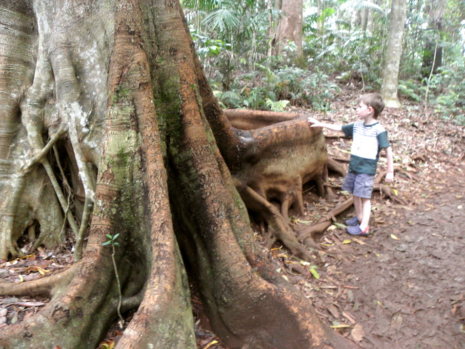 child
                        in forest