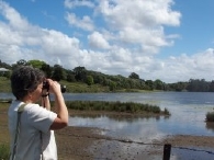 birdwatching in wetland